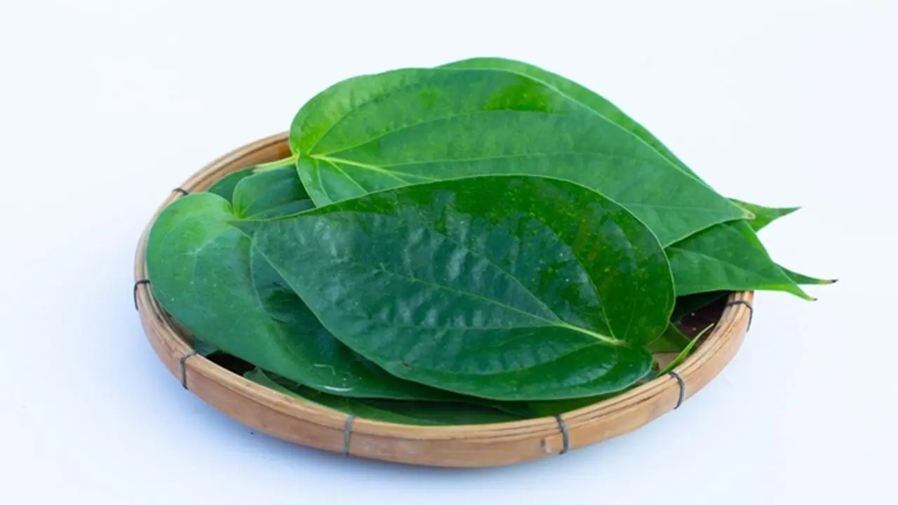 పరగడుపున తమలపాకు నమిలితే ఏమౌతుంది..? పరగడుపున తమలపాకు నమిలితే ఏమౌతుంది..?