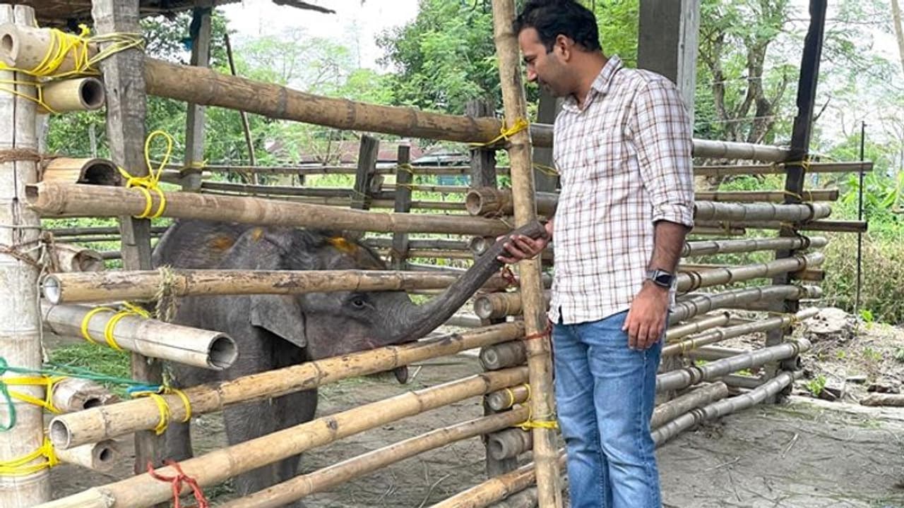 ತಾಯಿ ಕಳೆದುಕೊಂಡ ಮರಿ ಆನೆ ರಕ್ಷಿಸಿ ಮಗುವಿನಂತೆ ಆರೈಕೆ, ಫೋಟೋ ಹಂಚಿಕೊಂಡ IFS ಅಧಿಕಾರಿ! ತಾಯಿ ಕಳೆದುಕೊಂಡ ಮರಿ ಆನೆ ರಕ್ಷಿಸಿ ಮಗುವಿನಂತೆ ಆರೈಕೆ, ಫೋಟೋ ಹಂಚಿಕೊಂಡ IFS ಅಧಿಕಾರಿ!