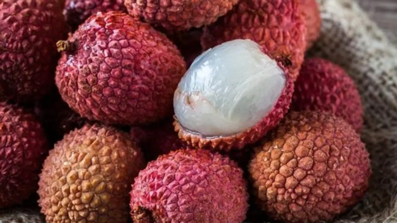 ലിച്ചിപ്പഴത്തെ നിസാരമായി കാണരുത് ; ആരോഗ്യഗുണങ്ങൾ ചെറുതൊന്നുമല്ല ലിച്ചിപ്പഴത്തെ നിസാരമായി കാണരുത് ; ആരോഗ്യഗുണങ്ങൾ ചെറുതൊന്നുമല്ല