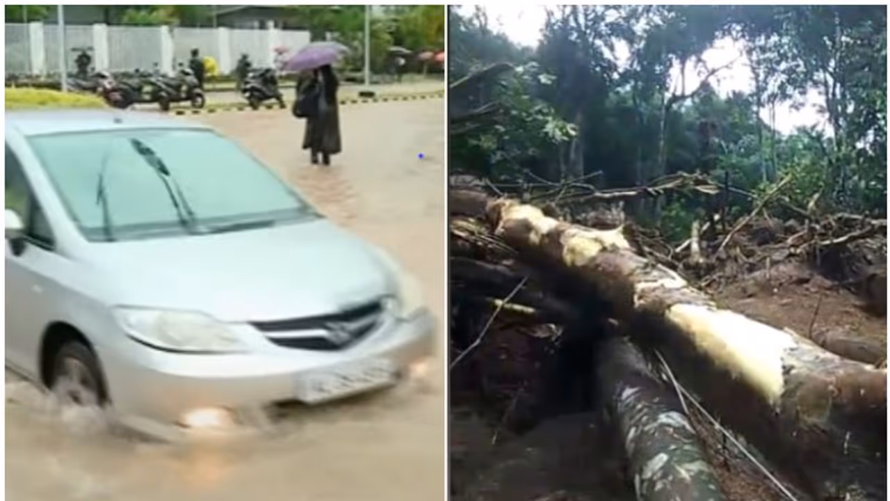 മീനച്ചിലാർ പ്രദേശത്ത് ജാഗ്രത, വാഗമൺ റോഡിൽ രാത്രിയാത്ര നിരോധിച്ചു; കോട്ടയത്ത് വിനോദ സഞ്ചാരമേഖലകളിൽ പ്രവേശനമില്ല മീനച്ചിലാർ പ്രദേശത്ത് ജാഗ്രത, വാഗമൺ റോഡിൽ രാത്രിയാത്ര നിരോധിച്ചു; കോട്ടയത്ത് വിനോദ സഞ്ചാരമേഖലകളിൽ പ്രവേശനമില്ല