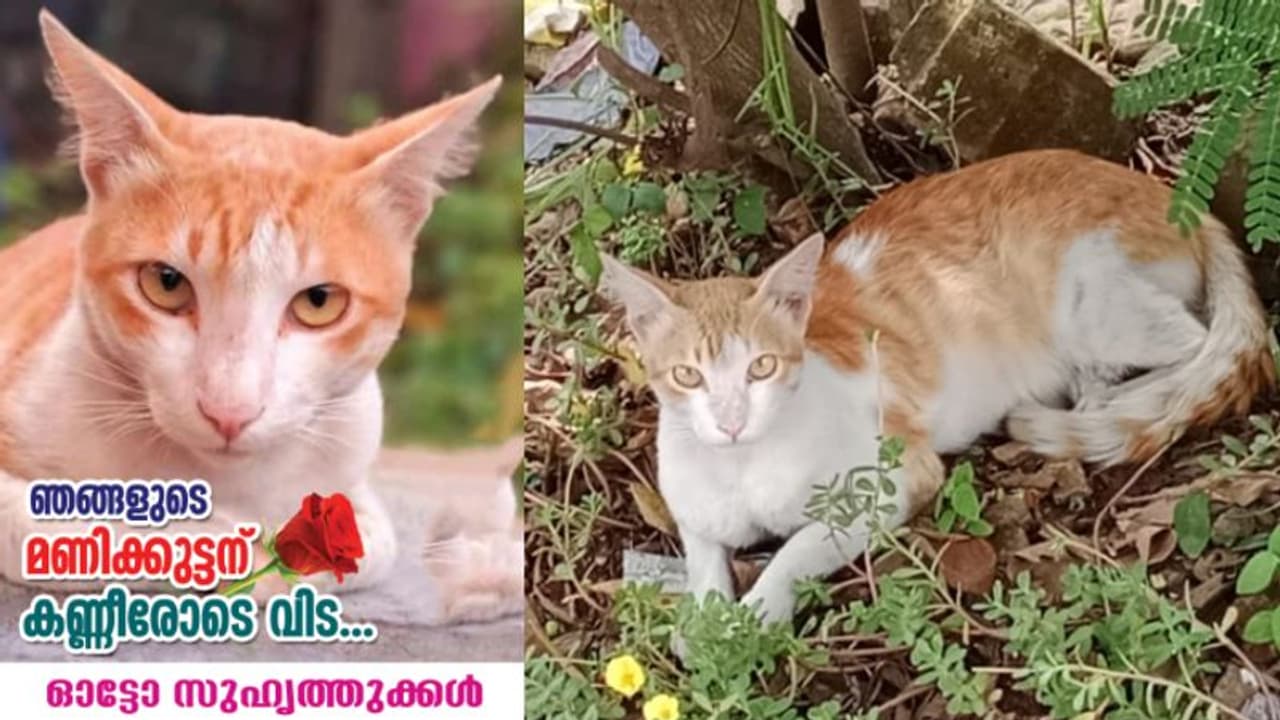 അജ്ഞാത വാഹനം കവര്ന്നത് അവരുടെ മണിക്കുട്ടനെ; ആദരാഞ്ജലി അര്പ്പിച്ച് ഓട്ടോ സുഹൃത്തുക്കള് അജ്ഞാത വാഹനം കവര്ന്നത് അവരുടെ മണിക്കുട്ടനെ; ആദരാഞ്ജലി അര്പ്പിച്ച് ഓട്ടോ സുഹൃത്തുക്കള്