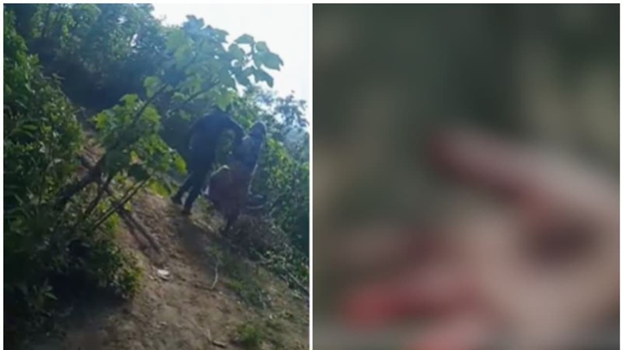 വഴിത്തർക്കം; വയോധികയെ സിപിഐ ബ്രാഞ്ച് സെക്രട്ടറി വെട്ടിപ്പരിക്കേൽപ്പിച്ചതായി പരാതി