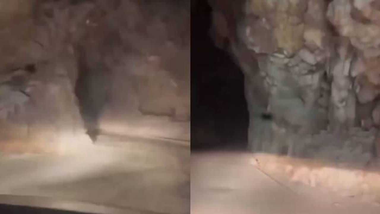എവിടെയാണിത്? ആരെയും ഭയപ്പെടുത്തുന്ന ഈ ഇരുണ്ട തുരങ്കം, വൈറലായി വീഡിയോ എവിടെയാണിത്? ആരെയും ഭയപ്പെടുത്തുന്ന ഈ ഇരുണ്ട തുരങ്കം, വൈറലായി വീഡിയോ