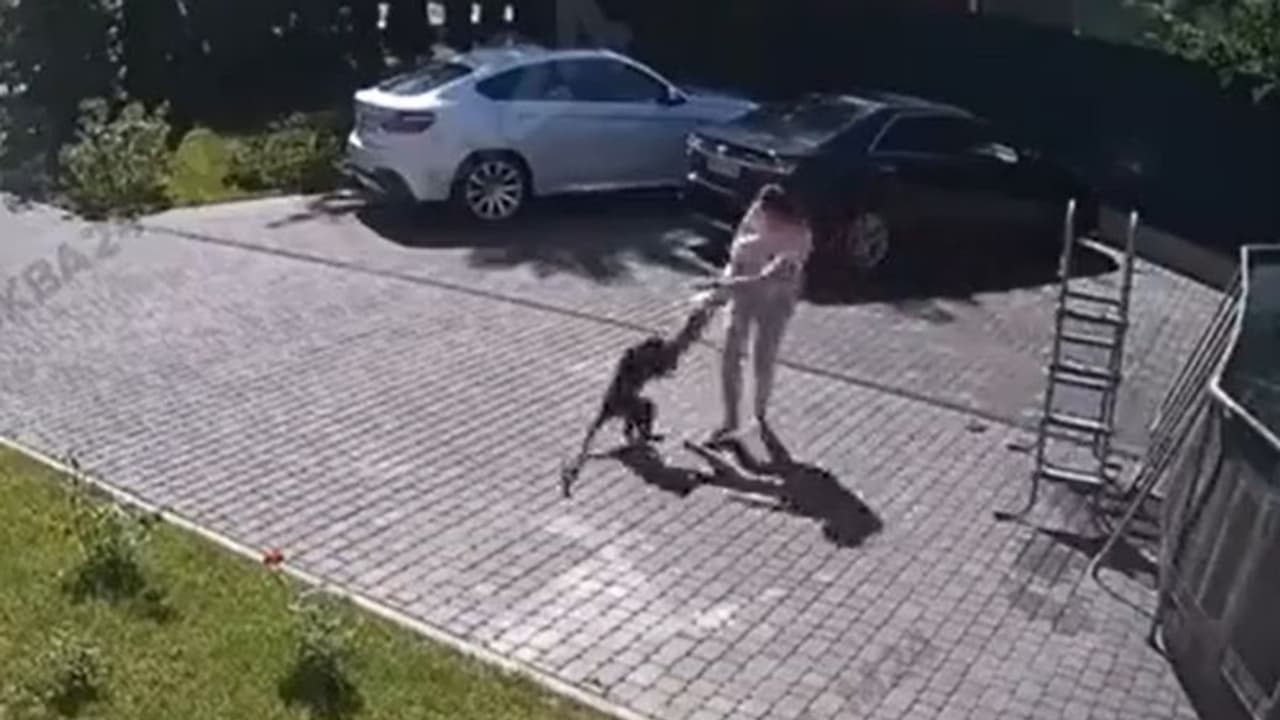 ಮಕ್ಕಳ ಮೇಲೆ ದಾಳಿ ನಡೆಸಿ ಮಗು ಹೊತ್ಯೊಯ್ದ ಕೋತಿ, ಕಂದನ ಉಳಿಸಲು ಪೋಷಕರ ಹೋರಾಟ ವಿಡಿಯೋ! ಮಕ್ಕಳ ಮೇಲೆ ದಾಳಿ ನಡೆಸಿ ಮಗು ಹೊತ್ಯೊಯ್ದ ಕೋತಿ, ಕಂದನ ಉಳಿಸಲು ಪೋಷಕರ ಹೋರಾಟ ವಿಡಿಯೋ!