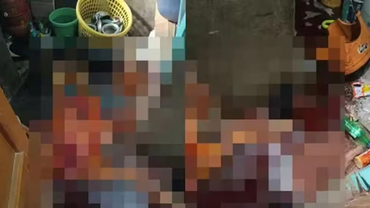 Karnataka HORROR: Refused dinner, Tumakuru man beheads wife, skins and chops her body; confesses to murder