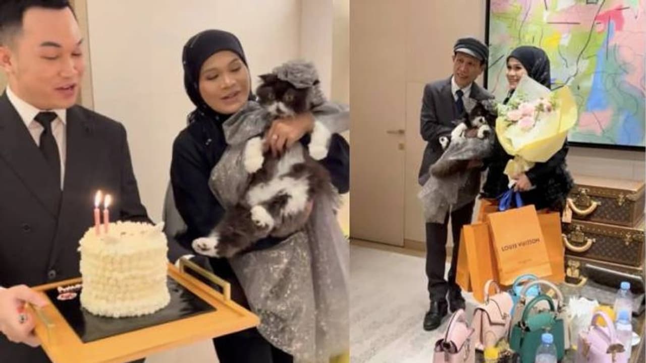 ലക്ഷങ്ങൾ വാരിയെറിഞ്ഞ് പൂച്ചയുടെ പിറന്നാളാഘോഷം, കോടീശ്വരിയുടെ സമ്മാനം അരലക്ഷം രൂപയുടെ ക്യാറ്റ്കോളർ