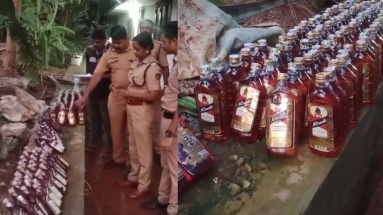 കുണ്ടന്നൂരിൽ വൻ വിദേശ മദ്യവേട്ട; ചാക്കിൽ കെട്ടി കുഴിച്ചിട്ട 150 കുപ്പി പൊക്കി, ലക്ഷ്യമിട്ടത് ഇലക്ഷൻ റിസൾട്ട്! കുണ്ടന്നൂരിൽ വൻ വിദേശ മദ്യവേട്ട; ചാക്കിൽ കെട്ടി കുഴിച്ചിട്ട 150 കുപ്പി പൊക്കി, ലക്ഷ്യമിട്ടത് ഇലക്ഷൻ റിസൾട്ട്!
