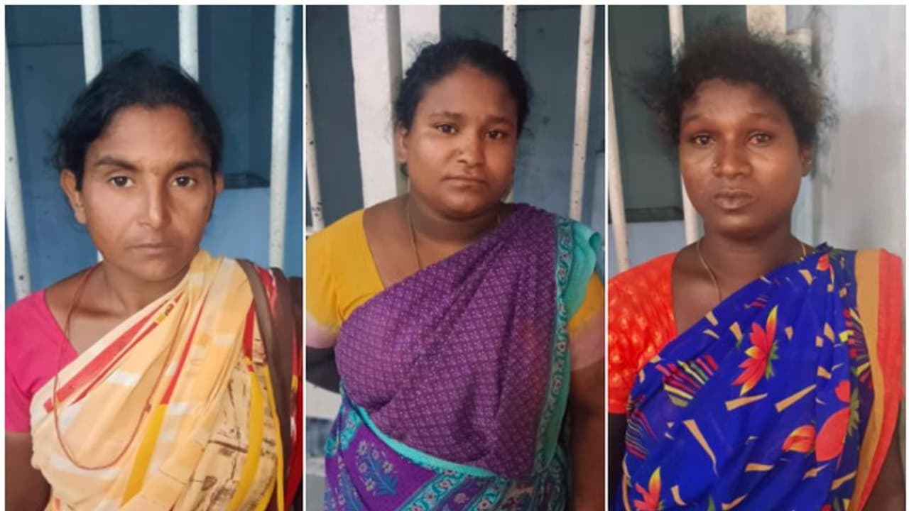 'ആദ്യം നിരീക്ഷണം, പിന്നീട് ആളില്ലാത്ത സമയത്ത് കൂട്ടത്തോടെ എത്തി മോഷണം'; മൂന്ന് പേർ പിടിയിൽ 'ആദ്യം നിരീക്ഷണം, പിന്നീട് ആളില്ലാത്ത സമയത്ത് കൂട്ടത്തോടെ എത്തി മോഷണം'; മൂന്ന് പേർ പിടിയിൽ