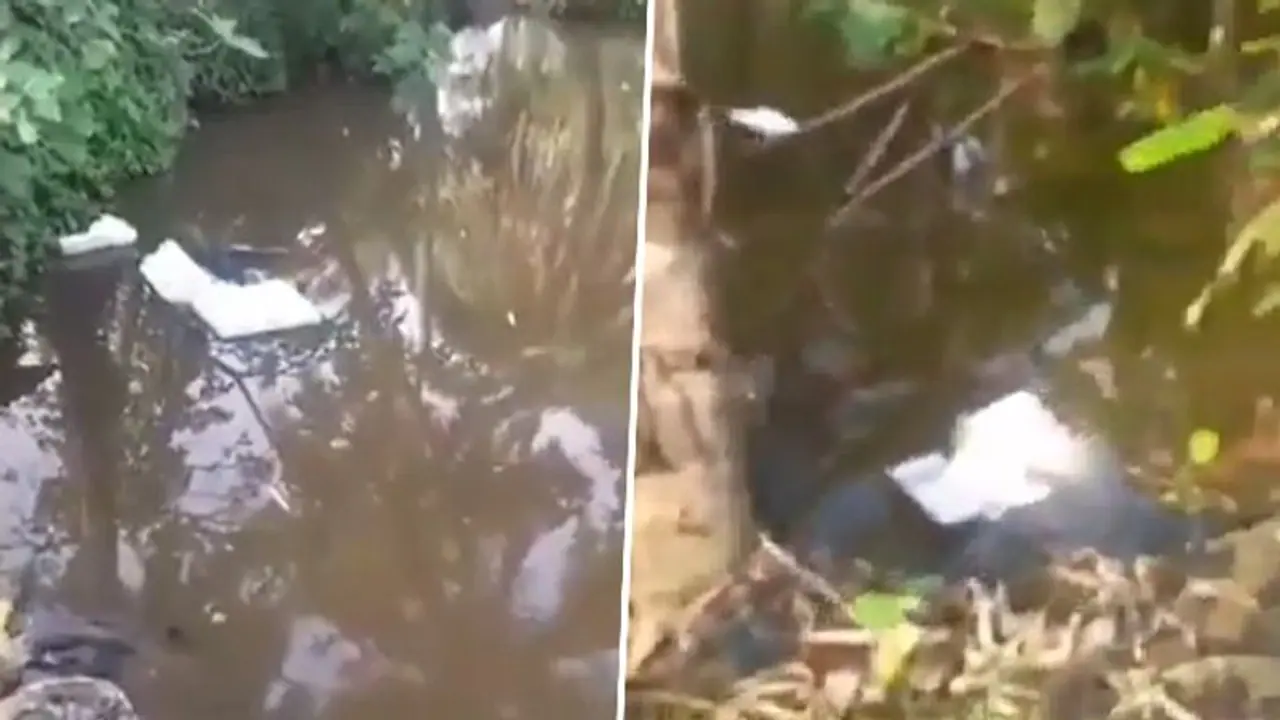 Lok Sabha elections 2024: Angry mob throws EVM machine into pond in West Bengal (WATCH)