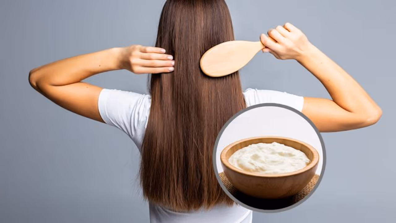 മുടിയെ കരുത്തുള്ളതാക്കാൻ തെെര് ; പരീക്ഷിക്കാം ഈ ഹെയർ പാക്കുകൾ 