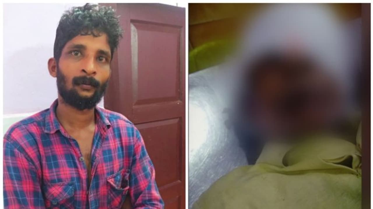 വീട്ടിലെ പൂച്ചയെ കാണാതായി; തർക്കത്തിനൊടുവിൽ മുത്തച്ഛനെ വെട്ടിപ്പരിക്കേൽപിച്ച് പേരക്കുട്ടി