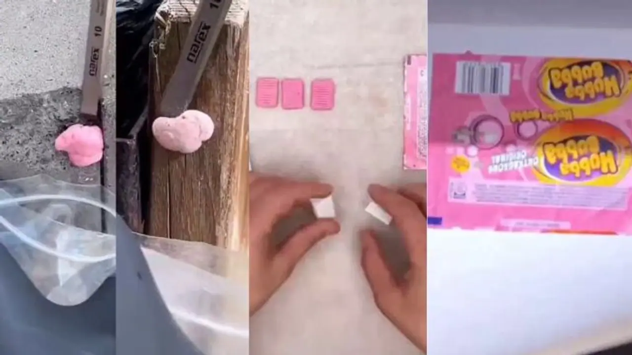 ಚೇವಿಂಗ್ ಗಮ್ ತಿಂತೀರಾ? ಒಮ್ಮೆ ಈ ವೀಡಿಯೋ ನೋಡಿ ಬಿಡಿ ಚೇವಿಂಗ್ ಗಮ್ ತಿಂತೀರಾ? ಒಮ್ಮೆ ಈ ವೀಡಿಯೋ ನೋಡಿ ಬಿಡಿ