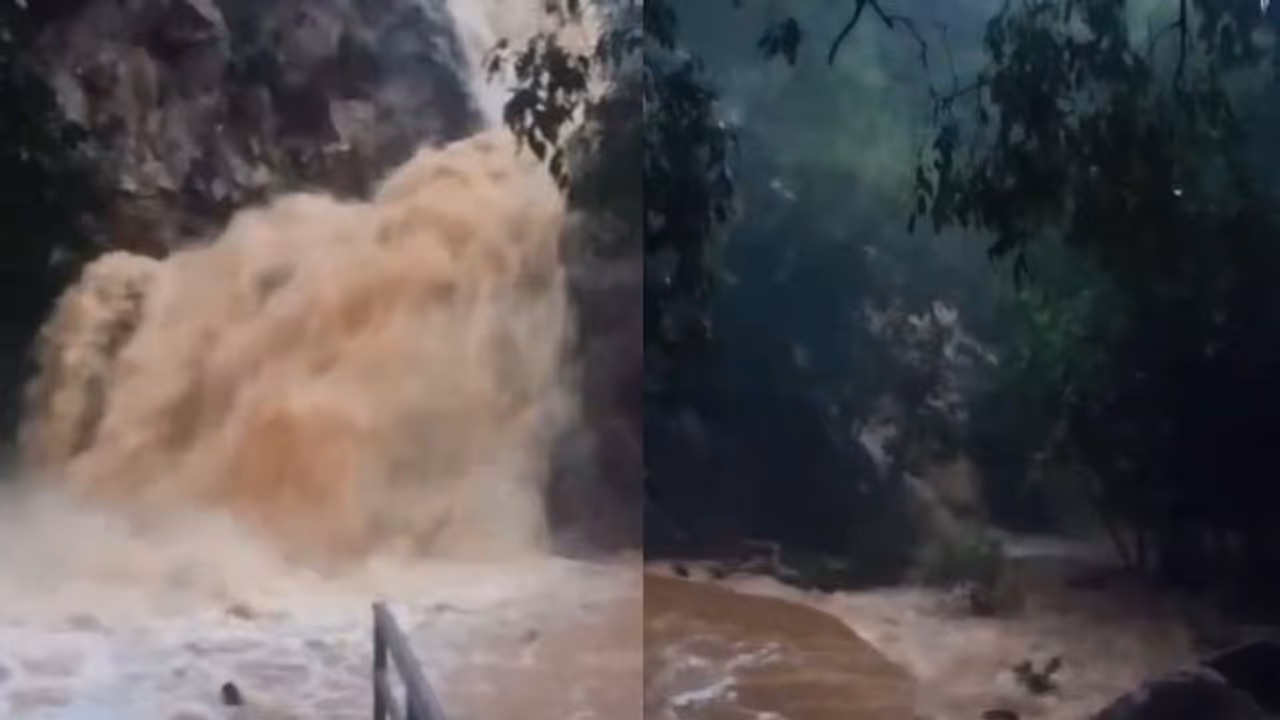 Bengaluru: Breathtaking video of Pearl Vallery, Anekal's Muthyala Maduvu waterfalls stuns Internet (WATCH) Bengaluru: Breathtaking video of Pearl Vallery, Anekal's Muthyala Maduvu waterfalls stuns Internet (WATCH)