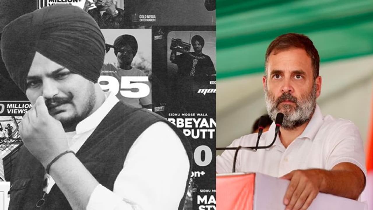 ಪಂಜಾಬಿ ಹಾಡಿನ ಮೂಲಕ ಇಂಡಿಯಾ ಮೈತ್ರಿ ಎಷ್ಟು ಸ್ಥಾನ ಗೆಲ್ಲಲಿದೆ ಎಂದ ರಾಹುಲ್ ಗಾಂಧಿ! ಪಂಜಾಬಿ ಹಾಡಿನ ಮೂಲಕ ಇಂಡಿಯಾ ಮೈತ್ರಿ ಎಷ್ಟು ಸ್ಥಾನ ಗೆಲ್ಲಲಿದೆ ಎಂದ ರಾಹುಲ್ ಗಾಂಧಿ!