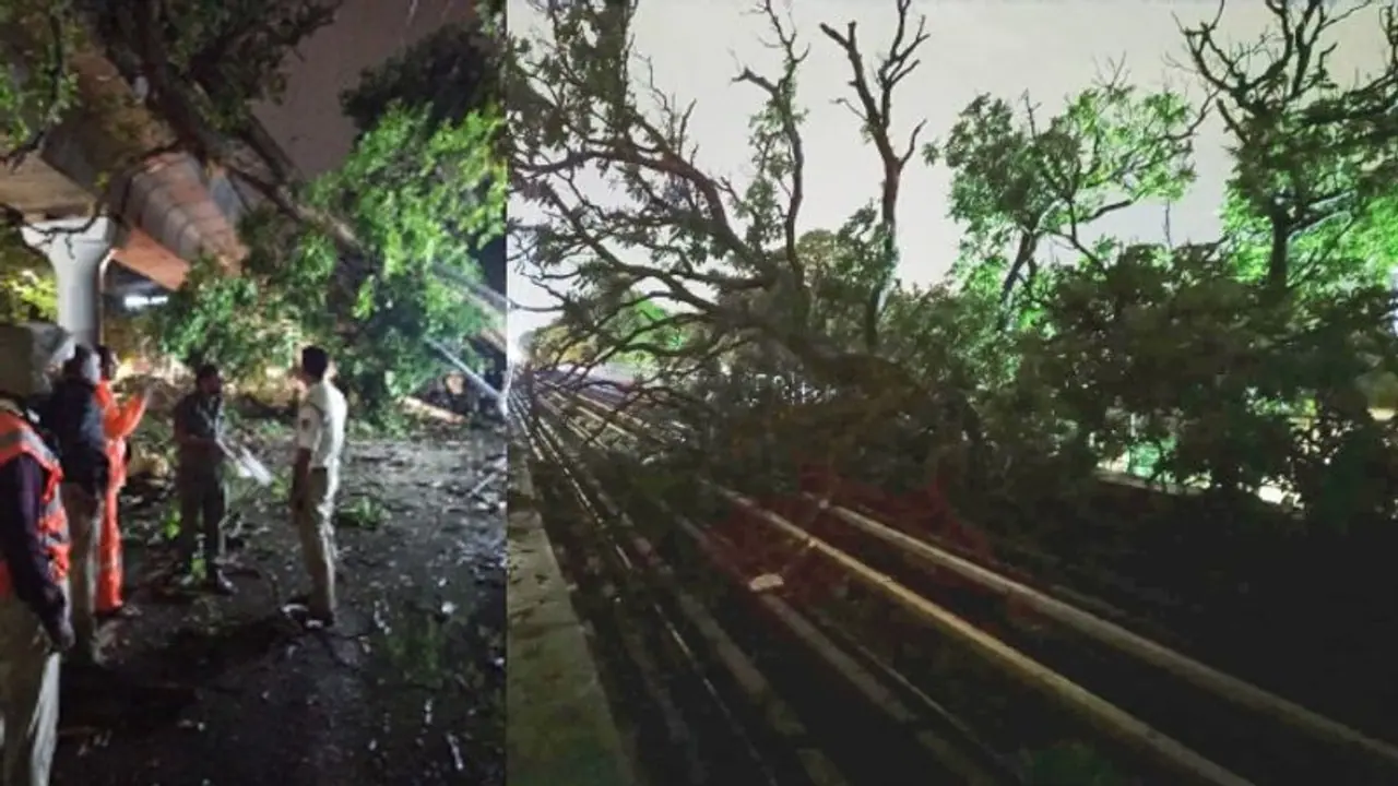 Bengaluru: Metro service suspended between Indiranagar & MG Road due to fallen tree branch on viaduct