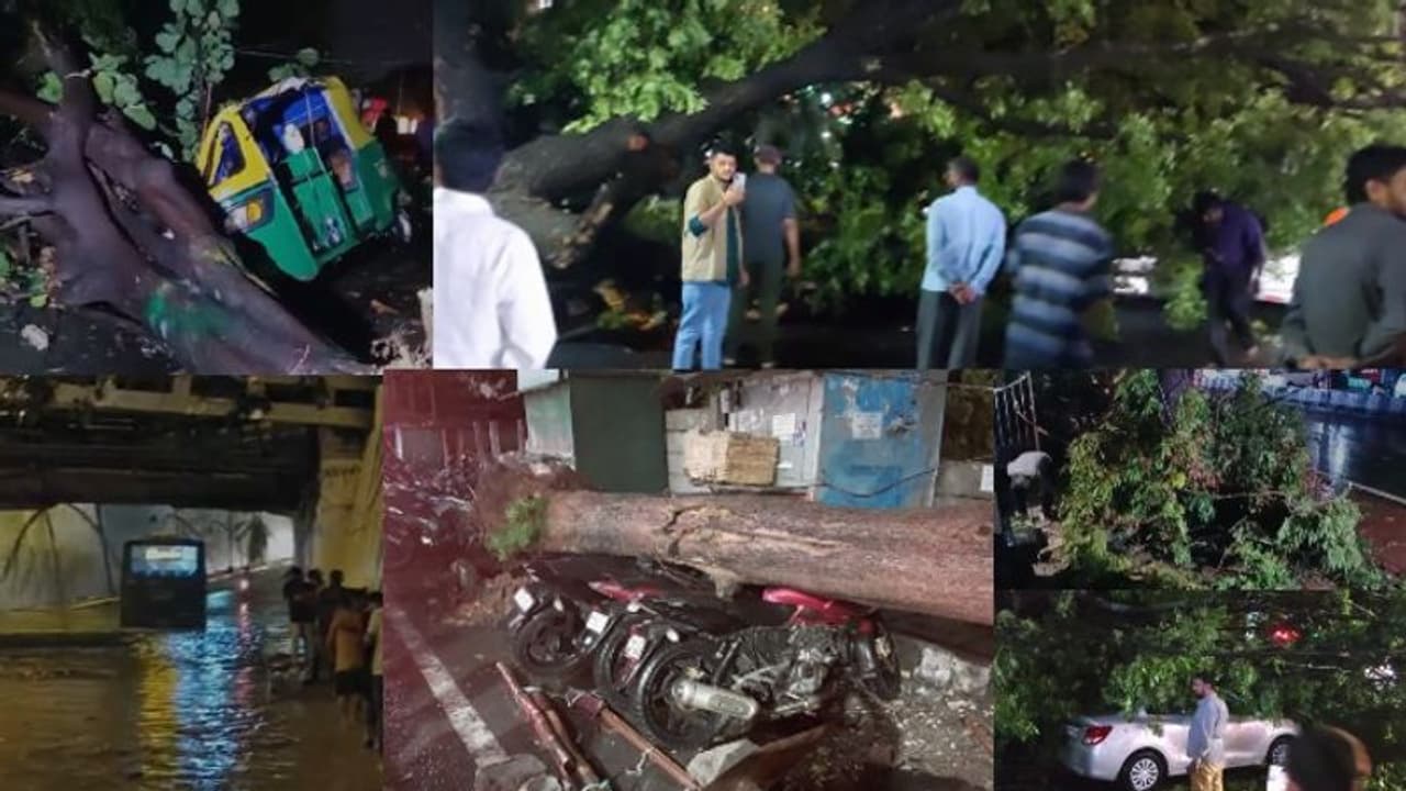 Bengaluru rainfall mayhem: Huge trees topple down on traffic, several vehicles reportedly damaged (WATCH)