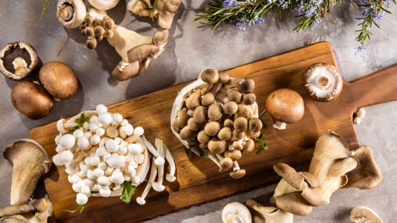 Health Tips: വിറ്റാമിന് ഡിയുടെ കുറവുണ്ടോ? മഷ്റൂം ഡയറ്റില് ഉള്പ്പെടുത്തൂ; അറിയാം ഗുണങ്ങള് Health Tips: വിറ്റാമിന് ഡിയുടെ കുറവുണ്ടോ? മഷ്റൂം ഡയറ്റില് ഉള്പ്പെടുത്തൂ; അറിയാം ഗുണങ്ങള്