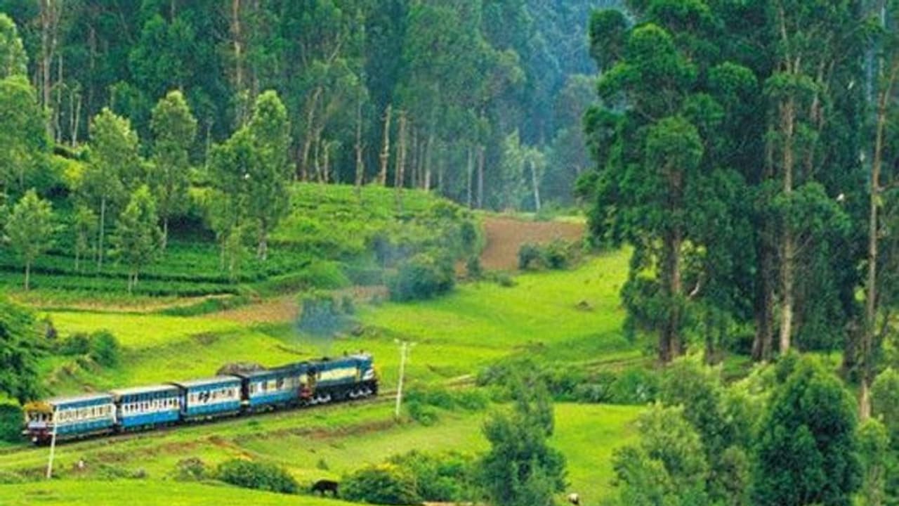 जून की गर्मी को कहे बाय, समर वेकेशन में एक्सप्लोर करें भारत के 4 Hill Station जून की गर्मी को कहे बाय, समर वेकेशन में एक्सप्लोर करें भारत के 4 Hill Station