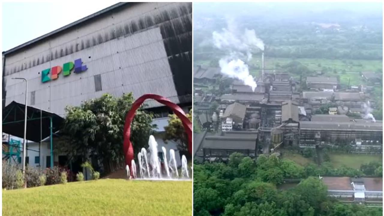 'മെയ് മാസത്തിൽ 5236 ടൺ'; പ്രതിമാസ ഉൽപാദനത്തിലും വിറ്റുവരവിലും കെപിപിഎൽ റെക്കോര്‍ഡ് സൃഷ്ടിച്ചെന്ന് മന്ത്രി