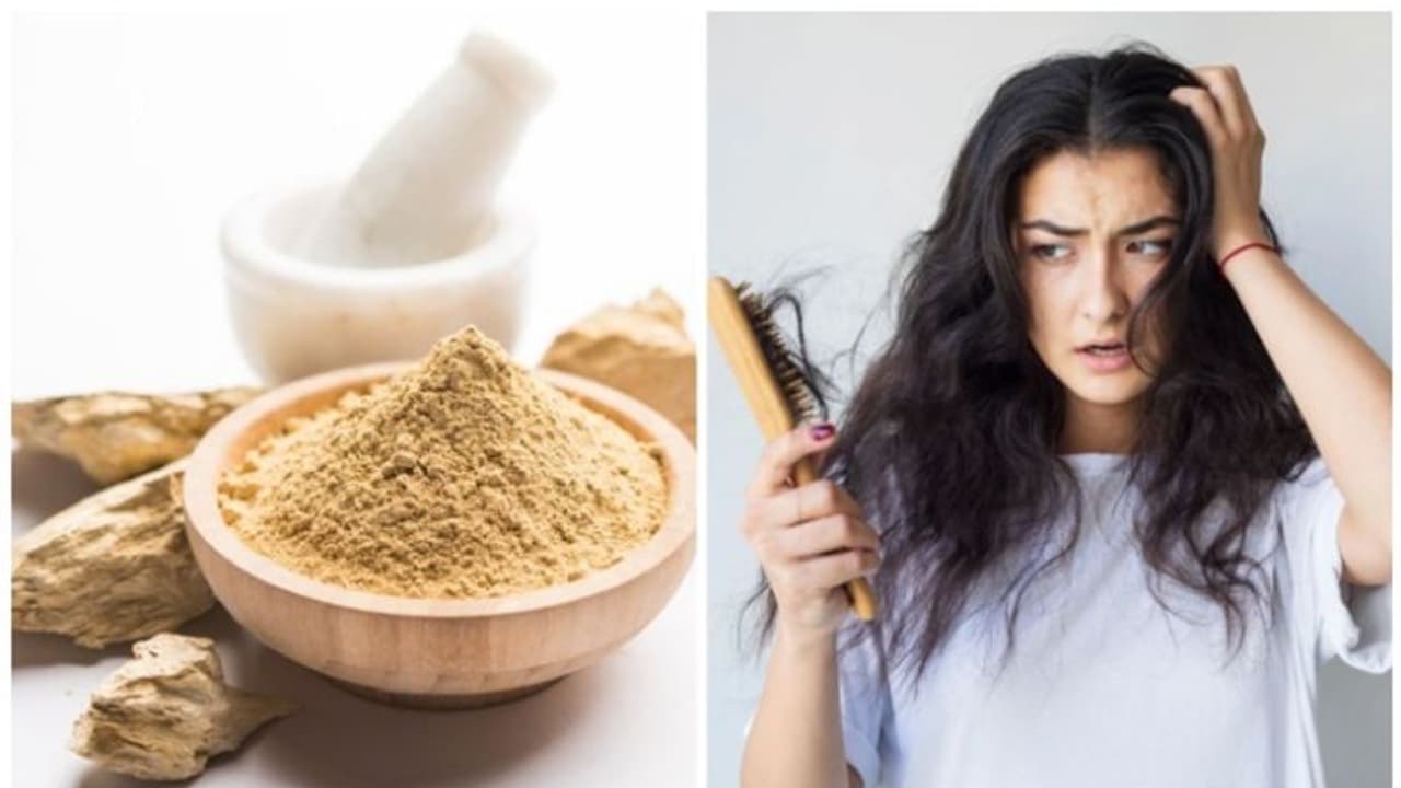 മുടികൊഴിച്ചിൽ എളുപ്പം കുറയ്ക്കാം ; മുൾട്ടാണി മിട്ടി ഈ രീതിയിൽ ഉപയോഗിച്ച് നോക്കൂ മുടികൊഴിച്ചിൽ എളുപ്പം കുറയ്ക്കാം ; മുൾട്ടാണി മിട്ടി ഈ രീതിയിൽ ഉപയോഗിച്ച് നോക്കൂ