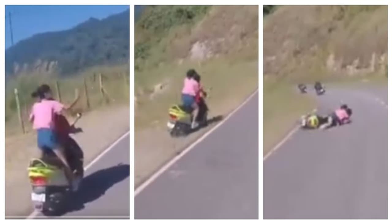 'ബൈക്ക് സ്റ്റണ്ടുകള് ലഹരി പോലെ, പക്ഷേ....'; പോലീസ് പങ്കുവച്ച വീഡിയോയ്ക്ക് അഭിനന്ദനവുമായി സോഷ്യല് മീഡിയ 'ബൈക്ക് സ്റ്റണ്ടുകള് ലഹരി പോലെ, പക്ഷേ....'; പോലീസ് പങ്കുവച്ച വീഡിയോയ്ക്ക് അഭിനന്ദനവുമായി സോഷ്യല് മീഡിയ