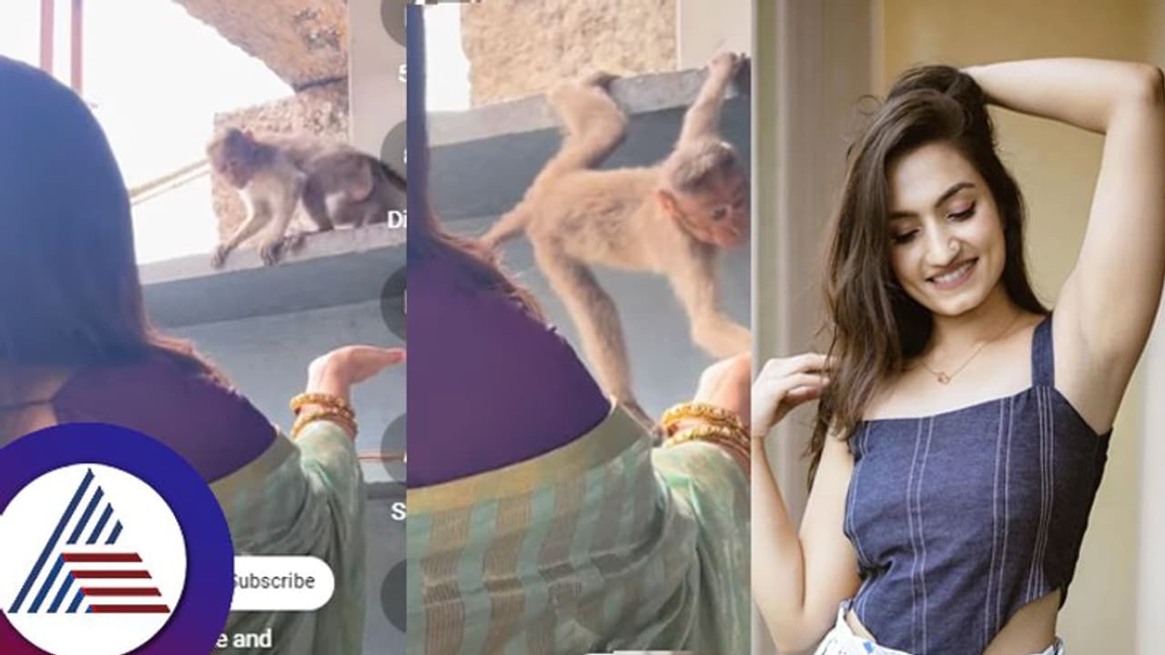 ರಾಮಾಯಣದ ಸೀತೆಯಲ್ಲ... ಸೀರಿಯಲ್​ ಸೀತಾಳ ಬಳಿ ಬಂದ ಈ 'ಜಾಂಬವ' ಏನ್​ ಮಾಡಿದ ನೋಡಿ...