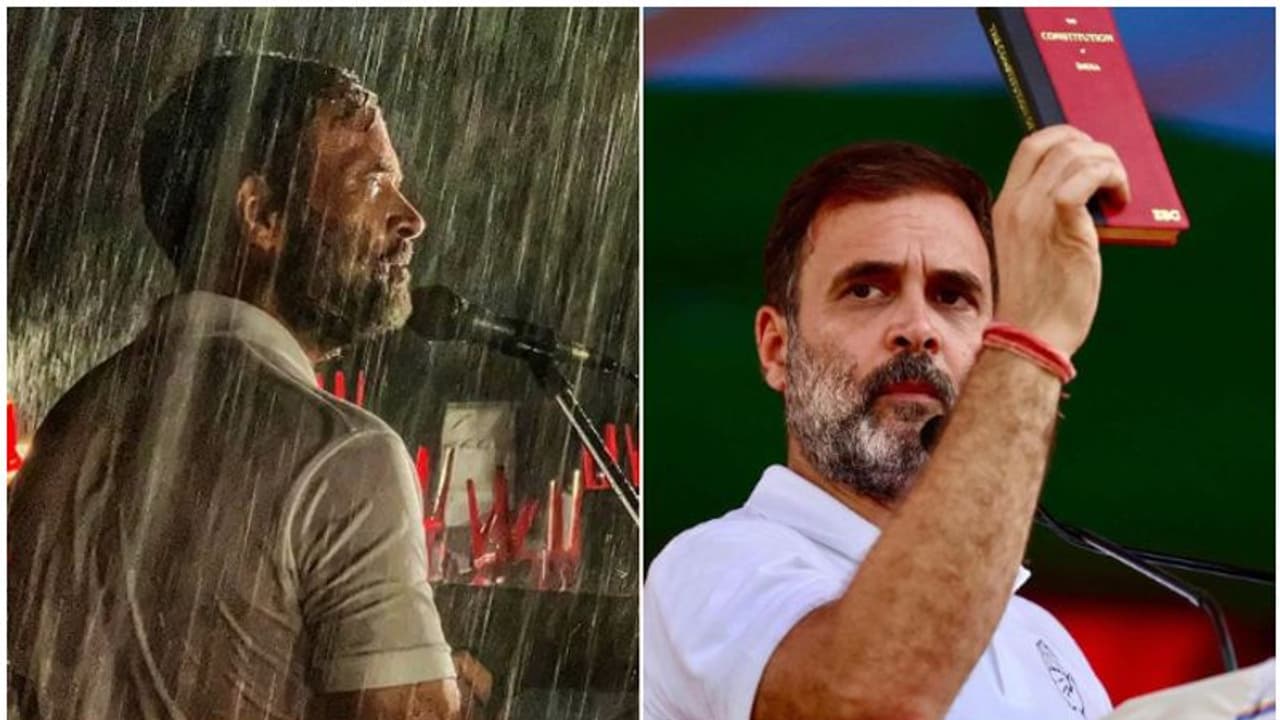 ഇത് 'മോടി'യേറിയ രാഹുൽ, രണ്ട് മണ്ഡലത്തിലും മോദിയുടെ ഇരട്ടിയിലേറെ ഭൂരിപക്ഷം; ജനഹൃദയത്തിലേക്കുള്ള 'ജോഡോ യാത്ര' ഇത് 'മോടി'യേറിയ രാഹുൽ, രണ്ട് മണ്ഡലത്തിലും മോദിയുടെ ഇരട്ടിയിലേറെ ഭൂരിപക്ഷം; ജനഹൃദയത്തിലേക്കുള്ള 'ജോഡോ യാത്ര'