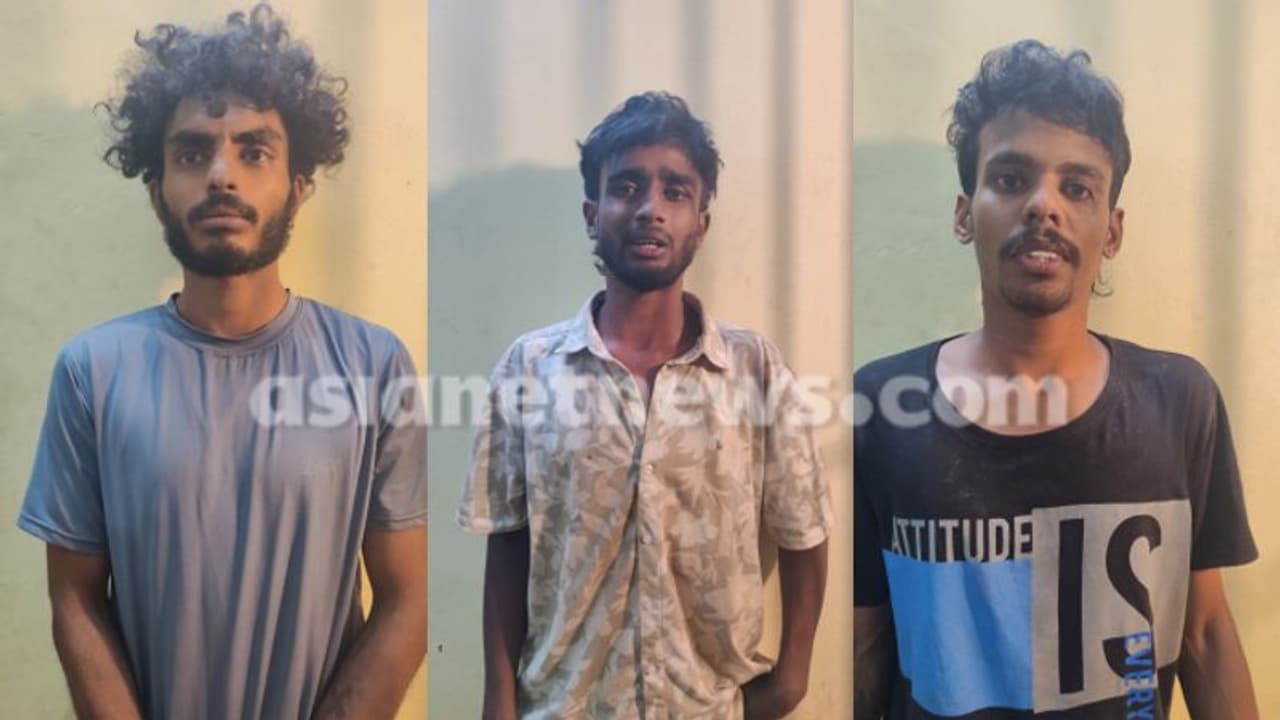 മാലിന്യം ശേഖരിക്കുന്ന ഷെഡിന് സമീപം 3 പേർ, പൊലീസിനെ കണ്ടതും ഓടി; പിടിച്ചപ്പോൾ കൈയ്യിൽ 46 ഗ്രാം എംഡിഎംഎ മാലിന്യം ശേഖരിക്കുന്ന ഷെഡിന് സമീപം 3 പേർ, പൊലീസിനെ കണ്ടതും ഓടി; പിടിച്ചപ്പോൾ കൈയ്യിൽ 46 ഗ്രാം എംഡിഎംഎ