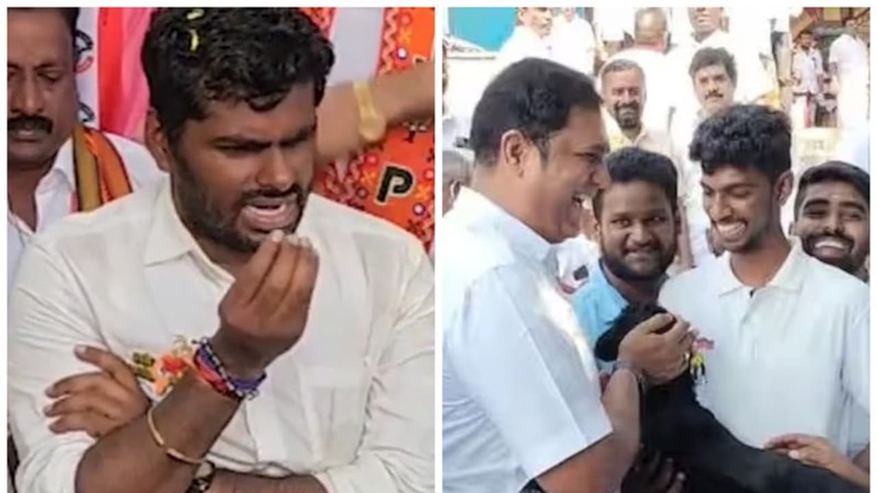 Annamalai: "ஆட்டை கொடுமை படுத்தாமல் பிரியாணி போடுங்கள்" அண்ணாமலையின் கோரிக்கையை டிரெண்டாக்கும் திமுக.வினர்