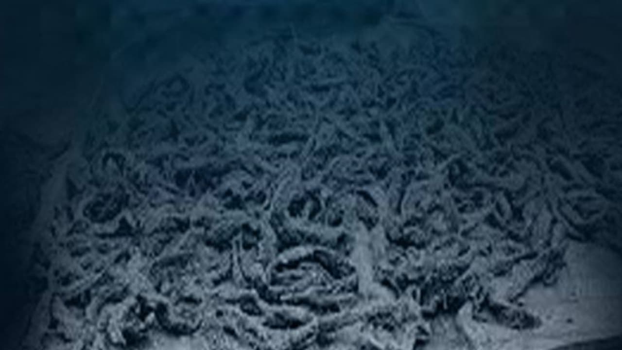 പാലക്കാട് റെയിൽവെ സ്റ്റേഷനിൽ ഒരു ചാക്ക്, തുറന്നപ്പോൾ 19.4 കിലോ കഞ്ചാവ്, പ്രതിയെ തേടി എക്സൈസ്