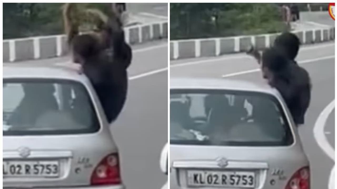 ഓടുന്ന കാറിൽ അഭ്യാസ പ്രകടനങ്ങളുമായി യുവതിയും യുവാവും; ഡ്രൈവറുടെ ലൈസൻസ് സസ്പെൻഡ് ചെയ്യുമെന്ന് എംവിഡി