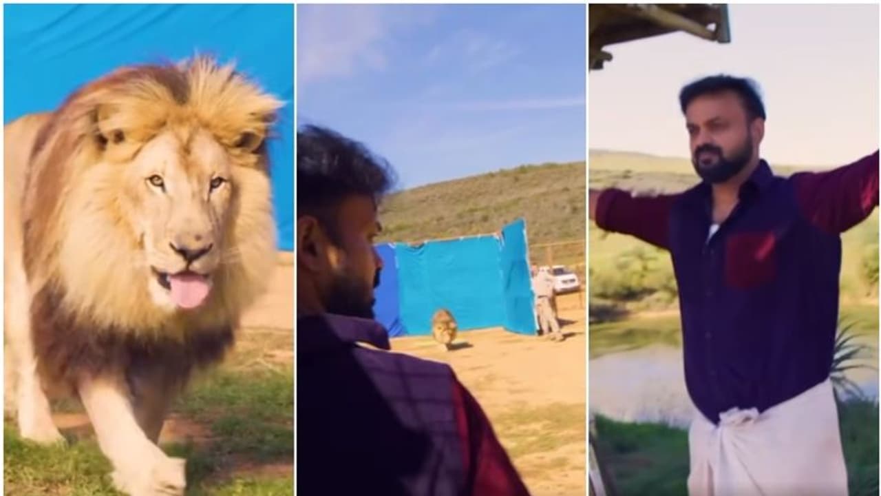 സിംഹം ഗ്രാഫിക്സ് ആണത്രേ, അതും മാന്ത് കിട്ടിയ എന്നോട്: ‘ഗർർർ’അനുഭവം പറഞ്ഞ് കുഞ്ചാക്കോ ബോബൻ വീ‍ഡിയോ വൈറല്‍
