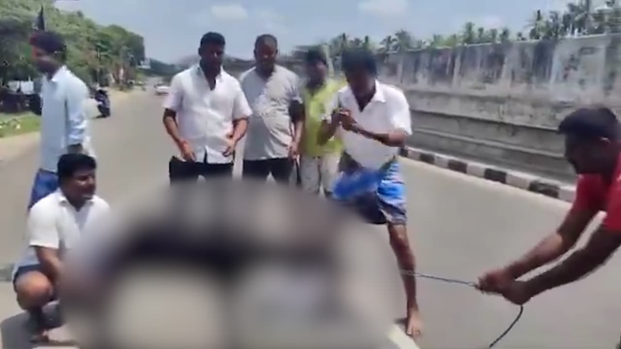 viral video viral video