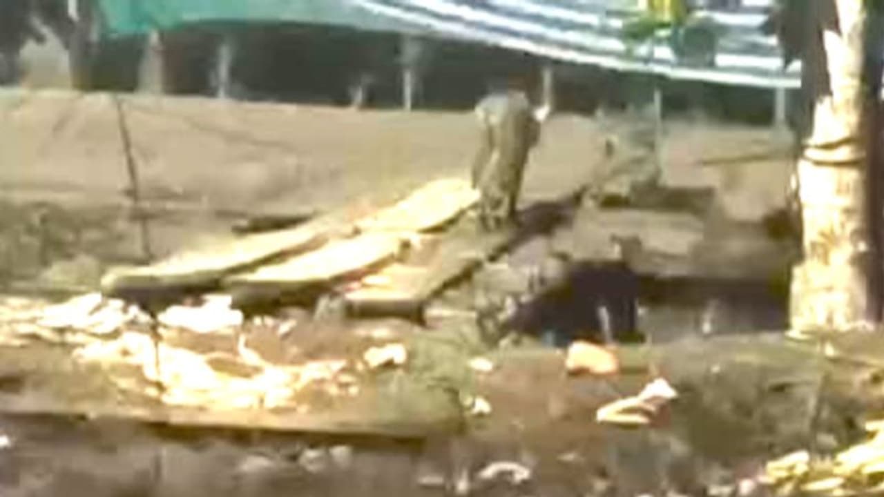 'പുന്നപ്രയില് ജനവാസ മേഖലയിൽ പുലിയെ കണ്ടു'; മൊബൈൽ ദൃശ്യങ്ങളുമായി നാട്ടുകാർ, കണ്ടത് കാട്ടുപൂച്ചയെ 'പുന്നപ്രയില് ജനവാസ മേഖലയിൽ പുലിയെ കണ്ടു'; മൊബൈൽ ദൃശ്യങ്ങളുമായി നാട്ടുകാർ, കണ്ടത് കാട്ടുപൂച്ചയെ