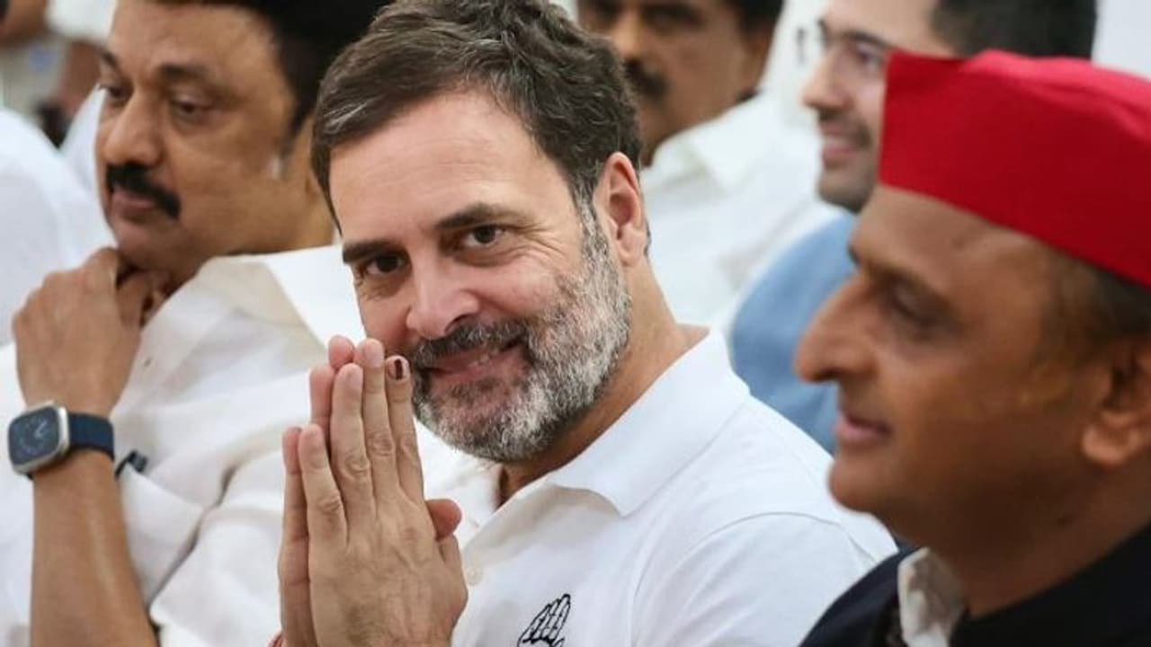 പ്രതിപക്ഷത്തിരിക്കാന് ഇന്ത്യ സഖ്യം; രാഹുല് ഗാന്ധിയുടെ അടുത്ത നീക്കത്തിൽ ആകാംക്ഷയോടെ നേതാക്കൾ പ്രതിപക്ഷത്തിരിക്കാന് ഇന്ത്യ സഖ്യം; രാഹുല് ഗാന്ധിയുടെ അടുത്ത നീക്കത്തിൽ ആകാംക്ഷയോടെ നേതാക്കൾ