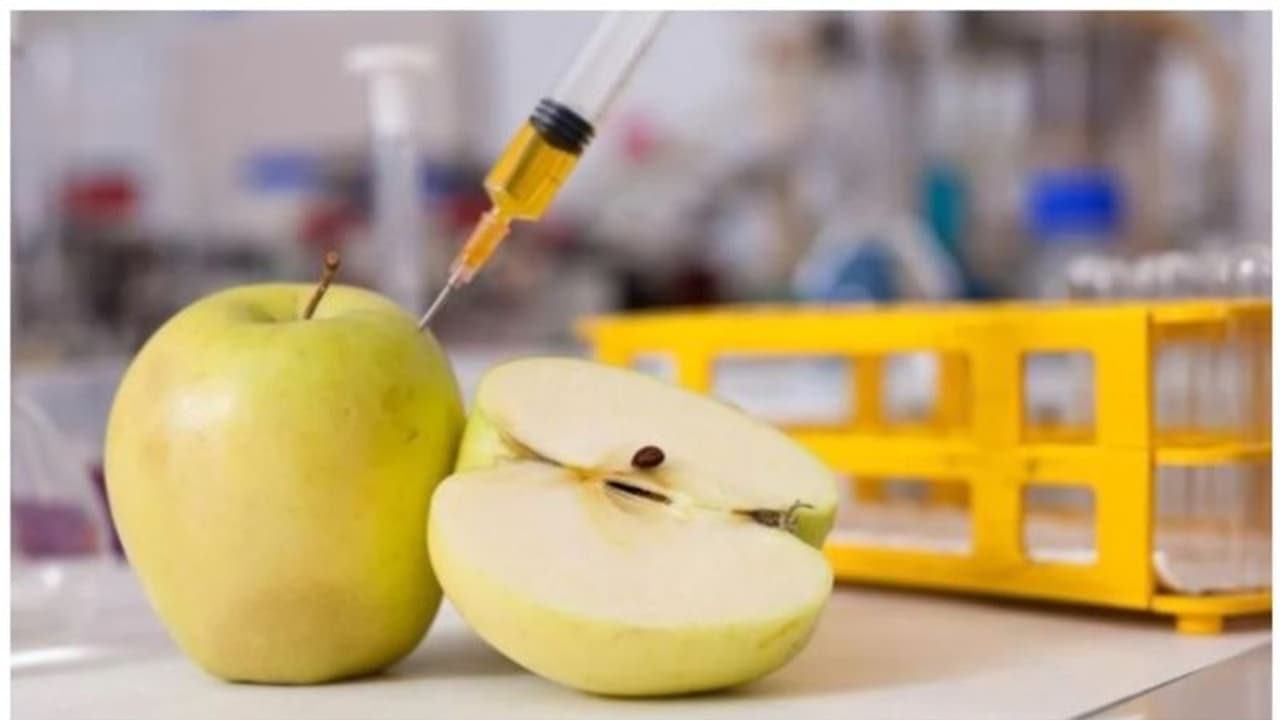 World Food Safety Day 2024 : മായം കലർന്ന ഭക്ഷ്യവസ്തുക്കൾ എങ്ങനെ തിരിച്ചറിയാം World Food Safety Day 2024 : മായം കലർന്ന ഭക്ഷ്യവസ്തുക്കൾ എങ്ങനെ തിരിച്ചറിയാം