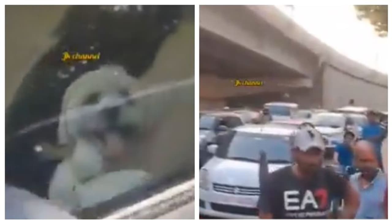 'എന്‍റെ പട്ടിയെ ആരടിച്ചാലും ഞാൻ തിരിച്ചടിക്കും'; പട്ടിയെ തല്ലിയതിന് ട്രാഫിക് തന്നെ നിശ്ചലമാക്കി യുവാവ്