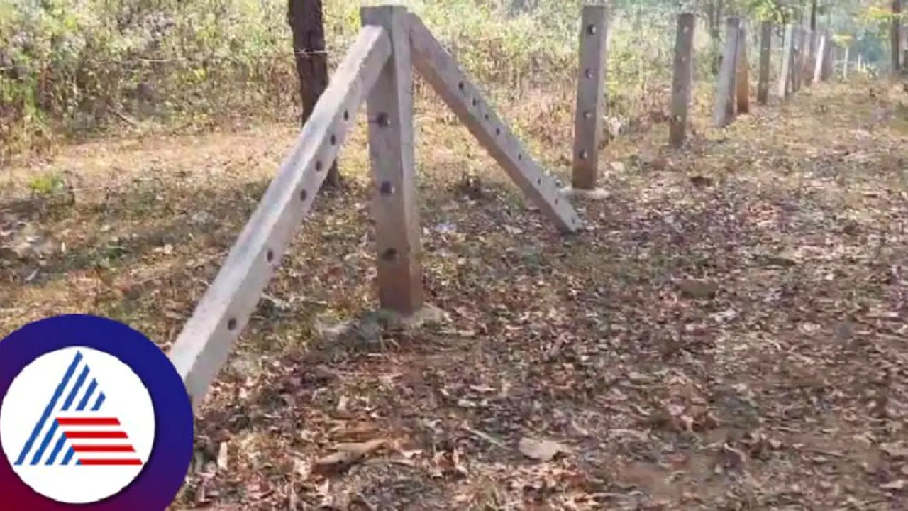 ಧಾರವಾಡ: ರೂಟ್ ಸ್ಟಾಕ್ ಯೋಜನೆಯ ಲಕ್ಷಾಂತರ ರೂ. ಹಣ ಲೂಟಿ, ತನಿಖೆಗೆ ಆರ್‌ಟಿಐ ಕಾರ್ಯಕರ್ತ ಆಗ್ರಹ 