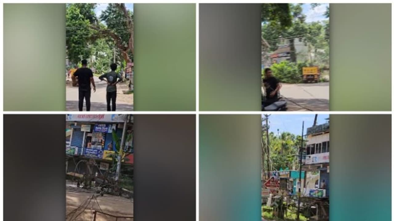 ഓടിക്കൊണ്ടിരുന്ന ലോറിയിലേക്കും വൈദ്യുതി ലൈനിലേക്കും മരം വീണു; സമീപത്ത് നിന്ന വിദ്യാർത്ഥിക്കും പരിക്ക് ഓടിക്കൊണ്ടിരുന്ന ലോറിയിലേക്കും വൈദ്യുതി ലൈനിലേക്കും മരം വീണു; സമീപത്ത് നിന്ന വിദ്യാർത്ഥിക്കും പരിക്ക്