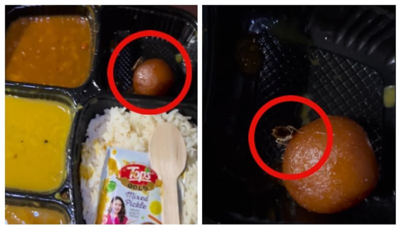 'ഇതാണ് പ്രോട്ടീന്‍ ഫുഡ്'; ഇന്ത്യന്‍ റെയില്‍വേയുടെ വെജ് താലിയിലെ രസഗുളയില്‍ ജീവനുള്ള പാറ്റ; വീഡിയോ വൈറല്‍ 