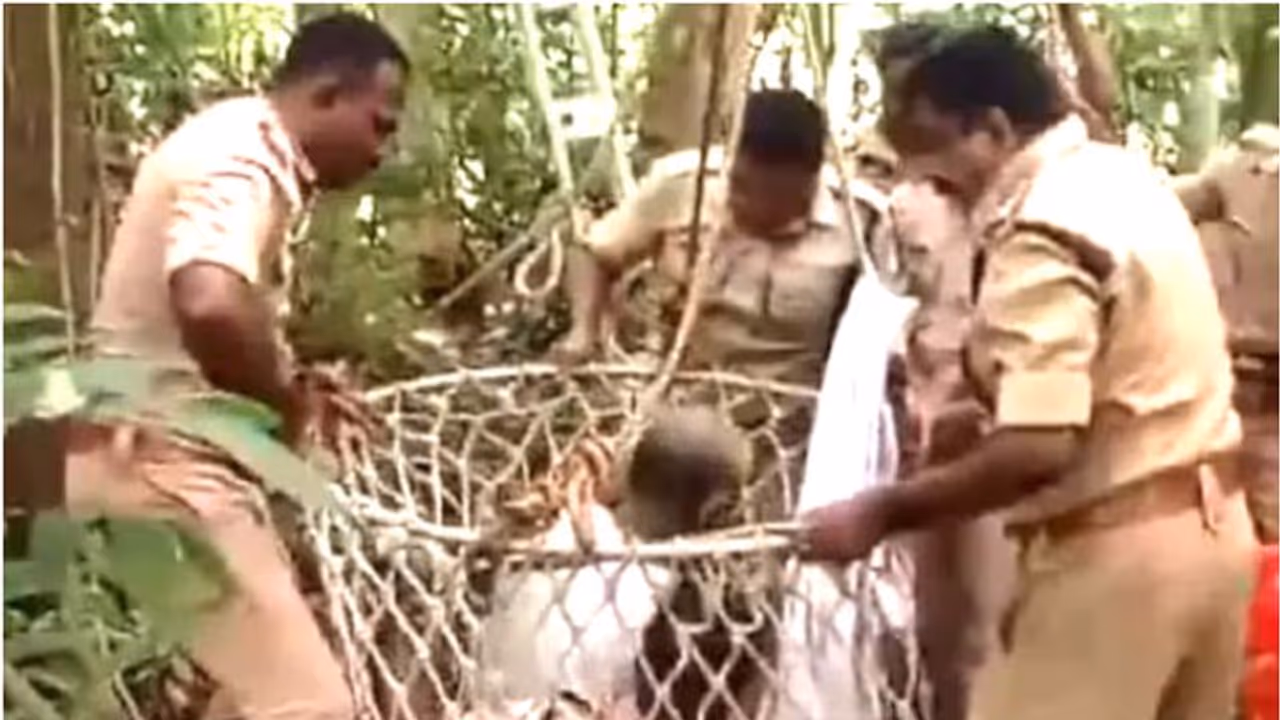 മരം മുറിക്കുന്നതിനിടെ 35 അടിയോളം ഉയരത്തിൽ കുടുങ്ങി, മുഹമ്മദിന് രക്ഷയായി ഫയർഫോഴ്സ് മരം മുറിക്കുന്നതിനിടെ 35 അടിയോളം ഉയരത്തിൽ കുടുങ്ങി, മുഹമ്മദിന് രക്ഷയായി ഫയർഫോഴ്സ്