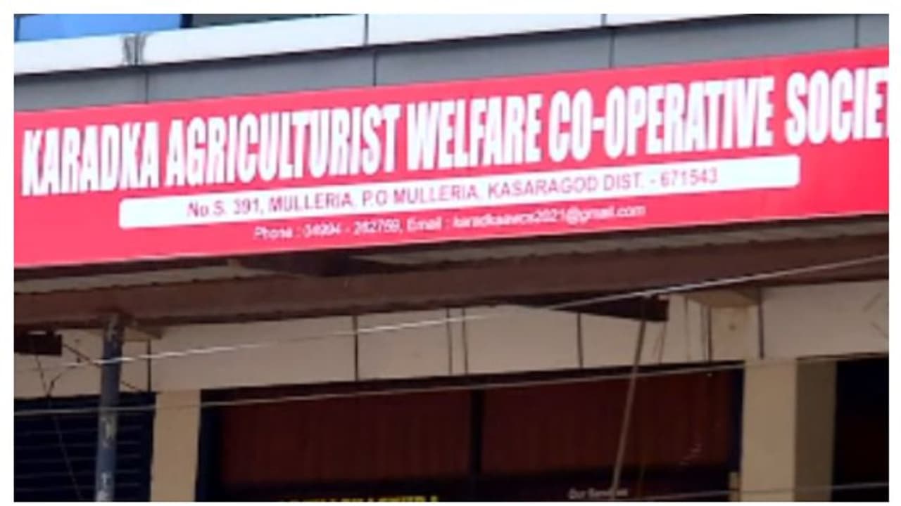 കാറഡുക്ക സൊസൈറ്റി തട്ടിപ്പ്: അന്വേഷണം ചെന്നെത്തുന്നത് വൻ തട്ടിപ്പ് സംഘത്തിലേക്ക് കാറഡുക്ക സൊസൈറ്റി തട്ടിപ്പ്: അന്വേഷണം ചെന്നെത്തുന്നത് വൻ തട്ടിപ്പ് സംഘത്തിലേക്ക്