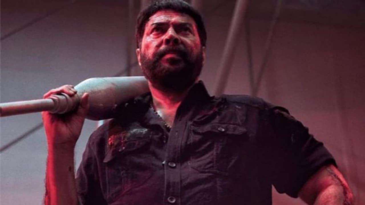 മമ്മൂട്ടിയുടെ ടര്ബോ നേടിയത് എത്ര? മമ്മൂട്ടിയുടെ ടര്ബോ നേടിയത് എത്ര?