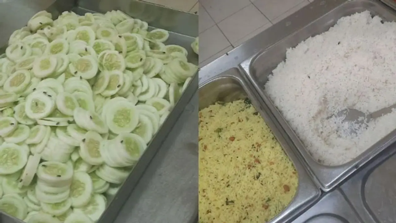 SHOCKING! Viral post claims IIT Hyderabad serves food infested with cockroaches, flies; see pics SHOCKING! Viral post claims IIT Hyderabad serves food infested with cockroaches, flies; see pics