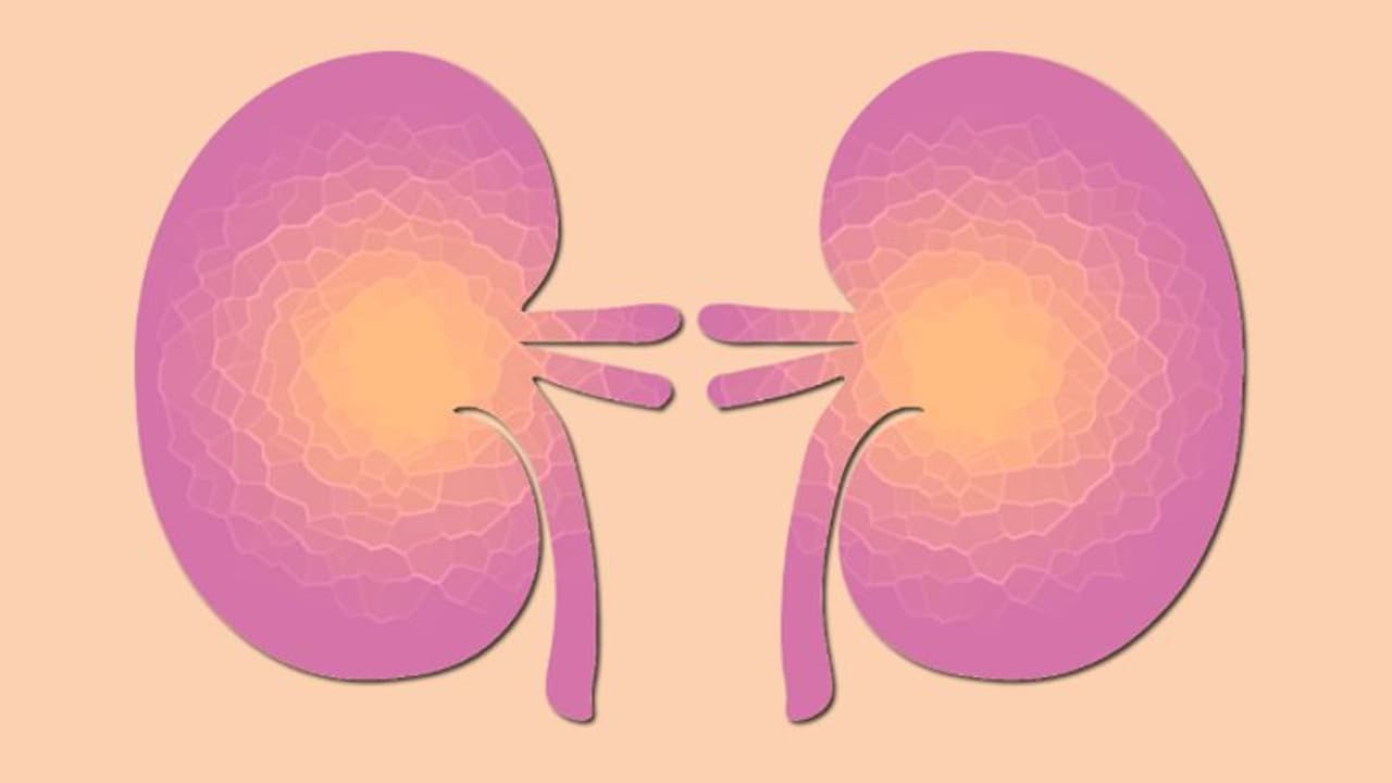 വൃക്കകളെ സംരക്ഷിക്കാന് ഈ എട്ട് കാര്യങ്ങൾ ചെയ്തുനോക്കൂ വൃക്കകളെ സംരക്ഷിക്കാന് ഈ എട്ട് കാര്യങ്ങൾ ചെയ്തുനോക്കൂ
