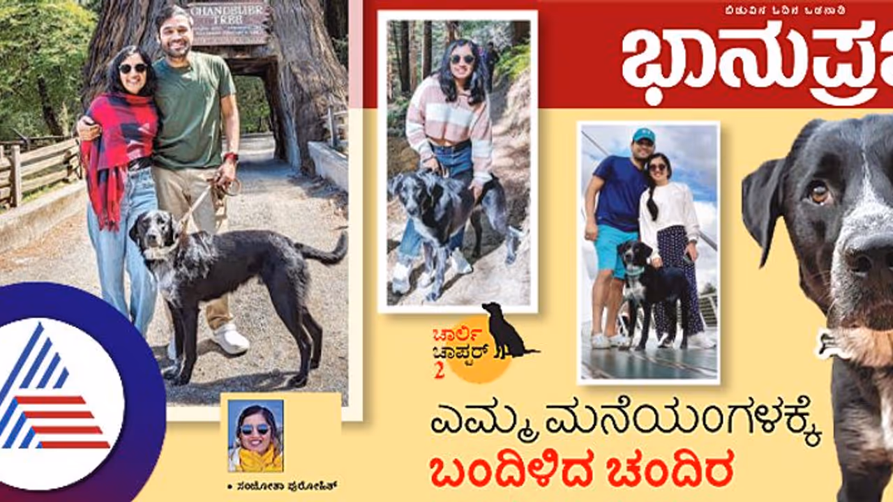 ಶ್ವಾನ ಪ್ರೀತಿ ಎಂದರೆ ಸುಮ್ಮನೆಯಲ್ಲ! ಎಮ್ಮ ಮನೆಯಂಗಳಕ್ಕೆ ಬಂದಿಳಿದ ಚಂದಿರ