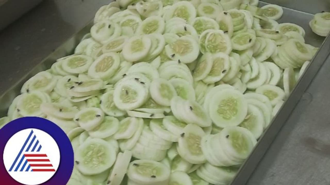 ಐಐಐಟಿ ಹೈದರಾಬಾದ್ ಹಾಸ್ಟೆಲ್ ಮೆಸ್ ಊಟದ ತುಂಬಾ ಜಿರಳೆ, ನೊಣ; ಮಾಜಿ ವಿದ್ಯಾರ್ಥಿ ಪೋಸ್ಟ್ ವೈರಲ್ ಐಐಐಟಿ ಹೈದರಾಬಾದ್ ಹಾಸ್ಟೆಲ್ ಮೆಸ್ ಊಟದ ತುಂಬಾ ಜಿರಳೆ, ನೊಣ; ಮಾಜಿ ವಿದ್ಯಾರ್ಥಿ ಪೋಸ್ಟ್ ವೈರಲ್