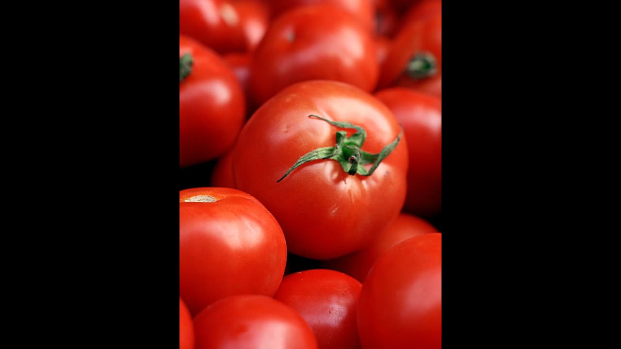 ಟೊಮೆಟೋಗೆ ಮತ್ತೆ ಬಂತು ಚಿನ್ನದ ಬೆಲೆ : ರೈತರಿಗೆ ಬಂಪರ್