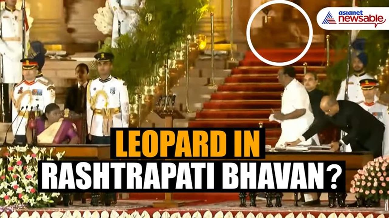 Leopard at Modi 3.0 cabinet oath taking ceremony? Mysterious animal spotted in viral video (WATCH) Leopard at Modi 3.0 cabinet oath taking ceremony? Mysterious animal spotted in viral video (WATCH)