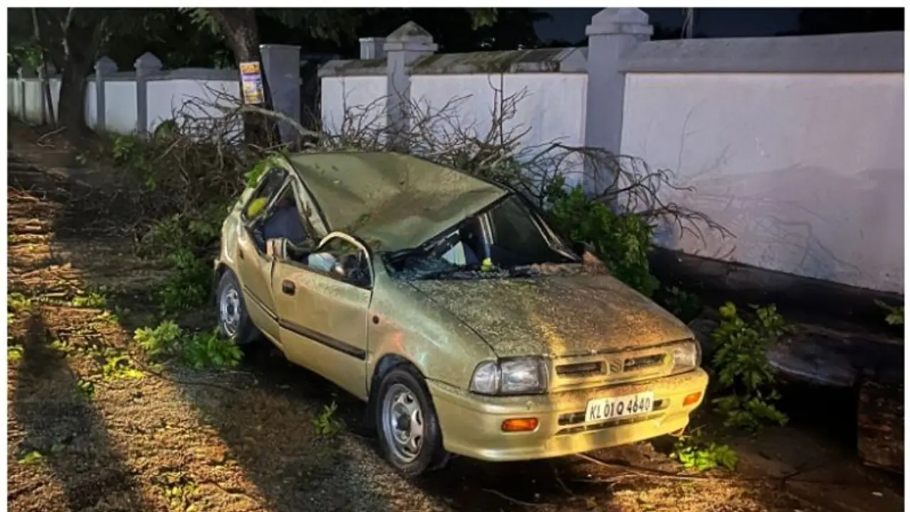 കനത്ത മഴയിലും കാറ്റിലും മരം ഒടിഞ്ഞുവീണ് കാർ തകർന്നു; ആളില്ലാതിരുന്നതിനാൽ അപകടം ഒഴിവായി